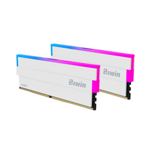 Memoria RAM Biwin Opal DW100 RGB 64GB (2x32GB) DDR5-6000MHz, CL30, 1.35V, Color Blanco