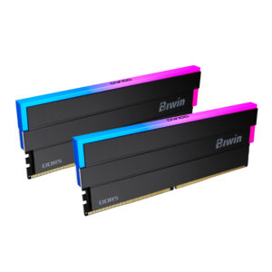 Memoria UDIMM Biwin Black Opal DW100 RGB, 32GB (2x16GB) DDR5-6000, PC5-48000, CL30, 1.35V