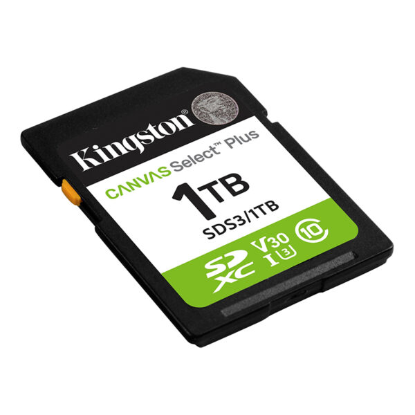 SD KING CANVAS SELECT + 1TB - Imagen 2