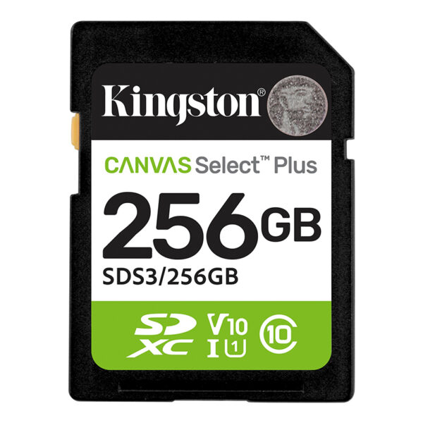 SD KING CANVAS SELECT + 256GB