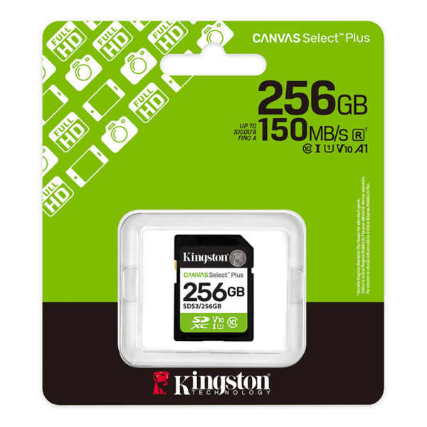 SD KING CANVAS SELECT + 256GB - Imagen 3