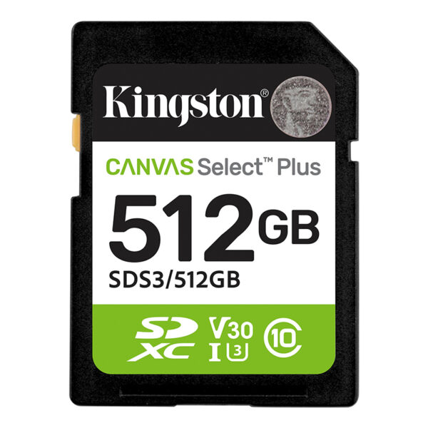 SD KING CANVAS SELECT + 512GB