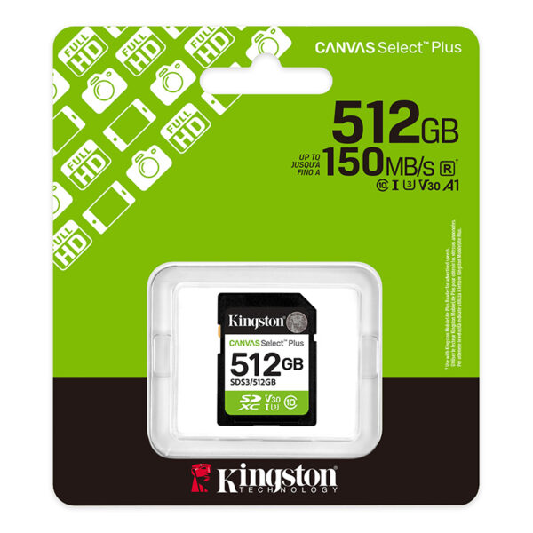 SD KING CANVAS SELECT + 512GB - Imagen 3