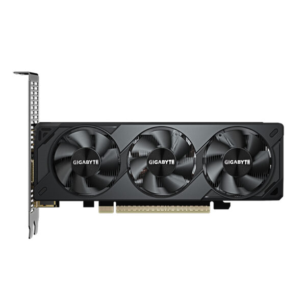 VGA 8G GB RTX5050 LP OC GDDR6